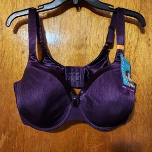 Purple Vanity Fair bra 42DD